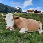 Bauernhof Pergila Apartmán