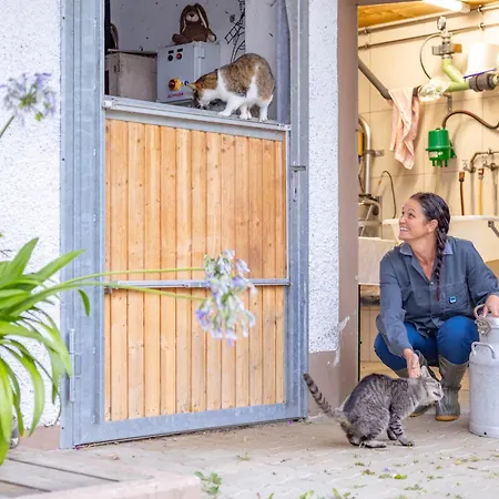 Daire Bauernhof Pergila *