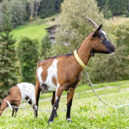 דירה Bauernhof Pergila