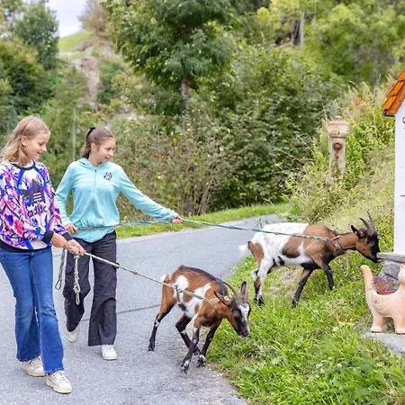 Bauernhof Pergila * Maria Luggau