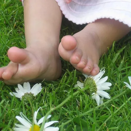 Daire Bauernhof Pergila *