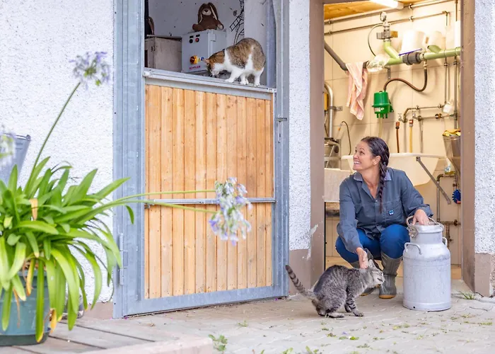 Apartament Bauernhof Pergila *