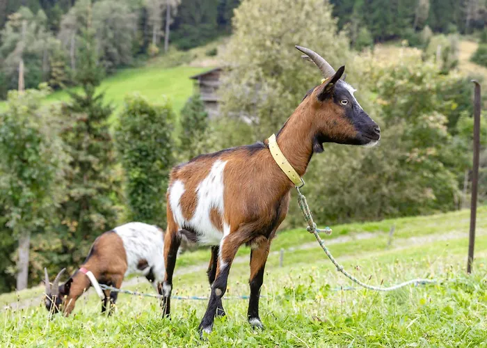 Apartament Bauernhof Pergila