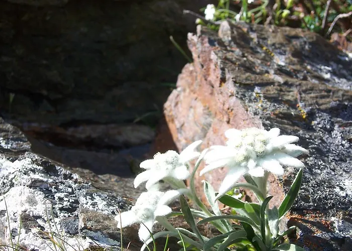 Bauernhof Pergila Apartament Maria Luggau